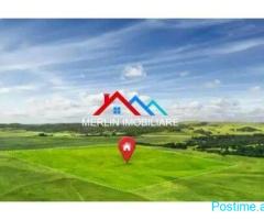 SHITET TOKE 5.000 M2 NE RRUGEN E RINASIT