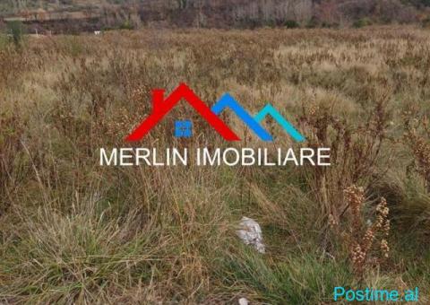 SHITET TOKE 5300m2 NE BERZHITE.