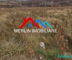 SHITET TOKE 5300m2 NE BERZHITE.