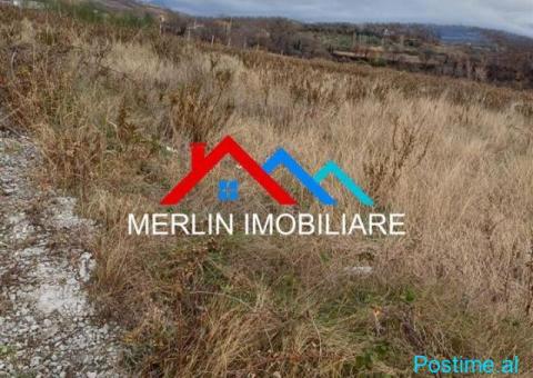 SHITET TOKE 5300m2 NE BERZHITE. - 2/2