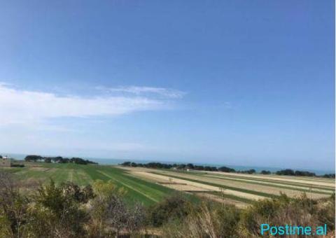 SHITET TOKE NE AUTOSTRADEN TIRANE-DURRES 45.000M2. - 2/2