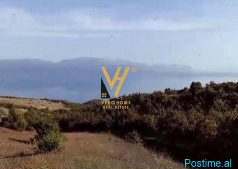 SHITET TOKE 400.000 M2 NE POGRADEC