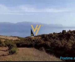 SHITET TOKE 400.000 M2 NE POGRADEC