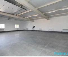 AMBJENT BIZNESI ME QERA 460 M2 SHESHI WILLSON 6000 EURO