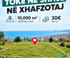 SHITET TOKE ARE , XHAFZOTAJ, DURRES