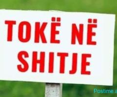 🌳 SHITET TOKË – LUNDËR 📍 ✨ Tokë me potencial zhvillimi, m