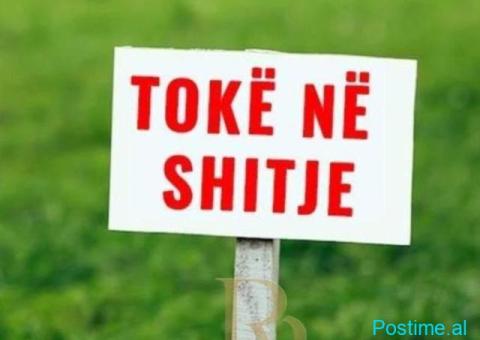 🌳 SHITET TOKË – LUNDËR 📍 ✨ Mundësi investimi në një nga z