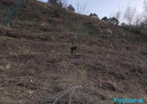 SHITET TOKE 2535 M2 KODRA E DIELLIT 480.000 EURO