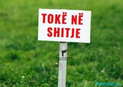 SHITET TOKE 5930 M2 BALDUSHKU 326.150 EURO