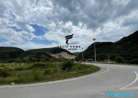 SHITET TOKE 4000 M2 POCEM 200.000 EURO - 1/3