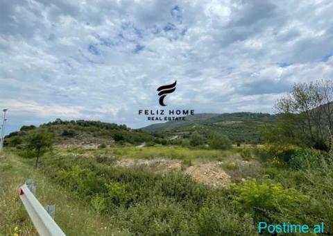 SHITET TOKE 4000 M2 POCEM 200.000 EURO - 3/3