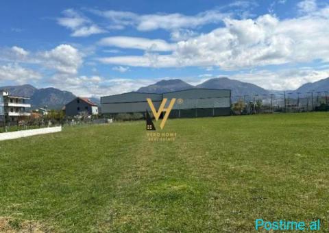 SHITET TOKE ARE 4.200 M2 NE KAMEZ 290.000 EURO - 2/2