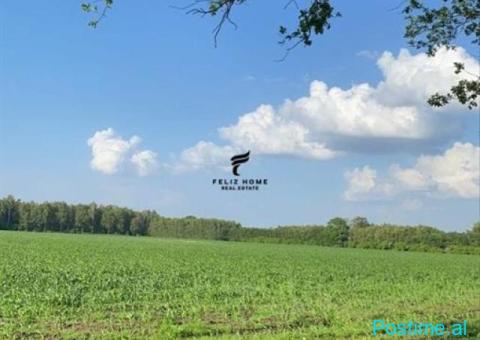 SHITET TRUAL 2000 M2 DURRES 500.000 EURO