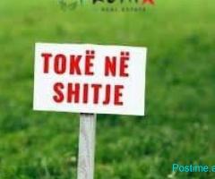 SHITET SUPER TOKE , KENETE , DURRES