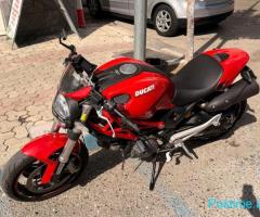 Ducati monster