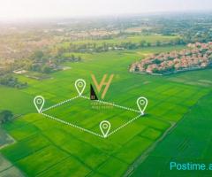 SHITET TOKE 7.000 M2 NE VISHNJE 623.000 EURO