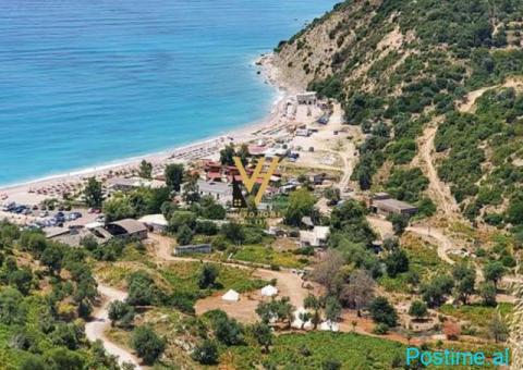 SHITET TOKE 1.200 M2 NE PIQERAS, LUKOVE 216.000 EURO