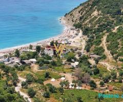 SHITET TOKE 1.200 M2 NE PIQERAS, LUKOVE 216.000 EURO