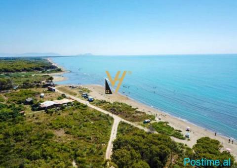 JEPET TOKE 54.000 M2 ME 23 % NE DARZEZ, FIER