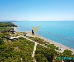 JEPET TOKE 54.000 M2 ME 23 % NE DARZEZ, FIER