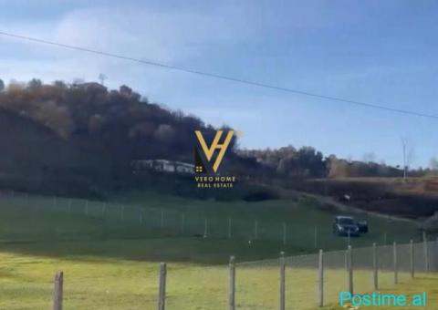 JEPET TOKE 2.600 M2 ME QERA NE MEZEZ 1.000 EURO