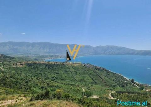 SHITET TOKE PYLL 15.600 M2 NE RRADHIME 936.000 EURO