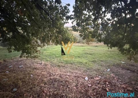 SHITE TOKE ARE 11.500 M2 TE RR.DAXHIT, FARKE 1.730.000 EURO - 2/3