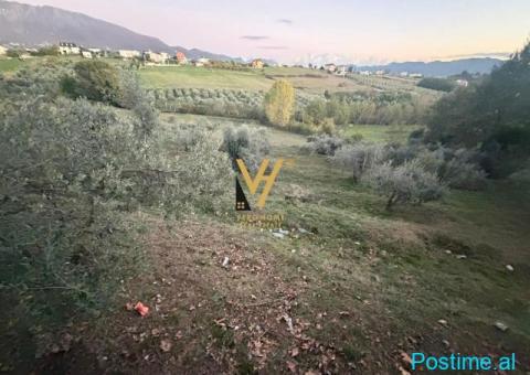 SHITE TOKE ARE 11.500 M2 TE RR.DAXHIT, FARKE 1.730.000 EURO - 3/3
