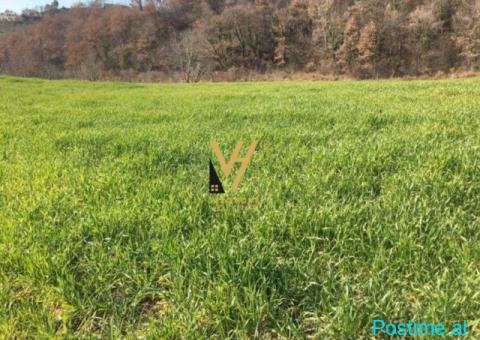 SHITET TRUALL 3.200 M2 TE QTU 380.000 EURO