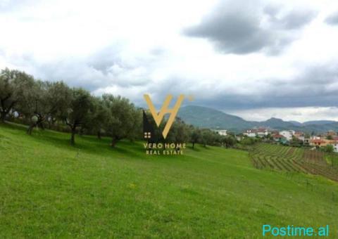 SHITET TOKE 500 M2 TEK GJIRI I LALEZIT 120.000 EURO