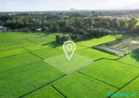 Shitet Tokë 8,900m2 – Farkë e Vogël, Tiranë - 3/3