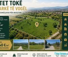 🌿 SHITET TOKË – FARKË E VOGËL ✨