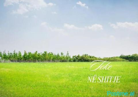 🏡 **Shitet Tokë në Farkë – Mundësi e Shkëlqyer Investimi!**
