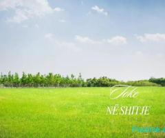 🏡 **Shitet Tokë në Farkë – Mundësi e Shkëlqyer Investimi!**