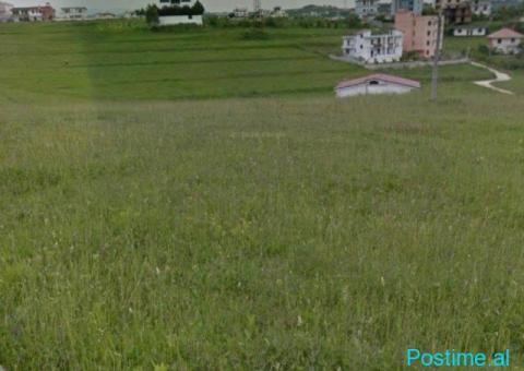 SHITET TOKE 520 M2 62000 EURO UNAZA PLAZH DURRES​