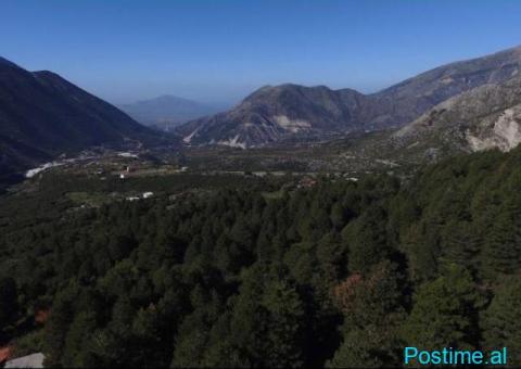 (T)🟢 SHITET TOKË 20,000M², DUKAT- VLORË! - 1/5