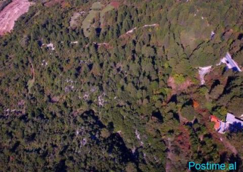 (T)🟢 SHITET TOKË 20,000M², DUKAT- VLORË! - 2/5