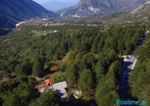 (T)🟢 SHITET TOKË 20,000M², DUKAT- VLORË! - 3/5