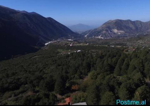(T)🟢 SHITET TOKË 20,000M², DUKAT- VLORË! - 4/5