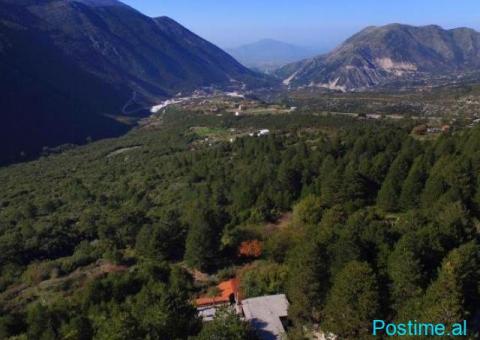 (T)🟢 SHITET TOKË 20,000M², DUKAT- VLORË! - 5/5