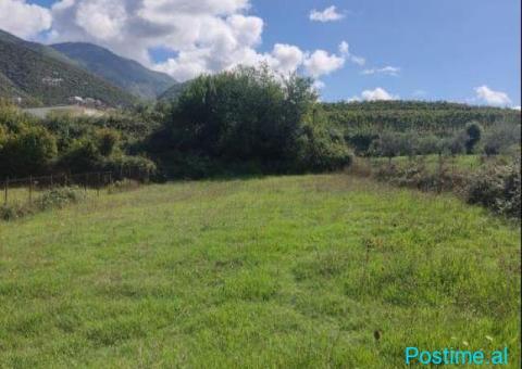 (AR) 🟢 SHITET TOKË 1230M², TUFINË! - 1/3