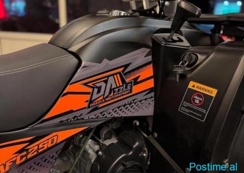 DAZZLE AFB 250CC (2025) New Model - 3/8