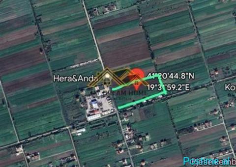 SHITET TOKE NE AUTOSTRAD DURRES – TIRANE
