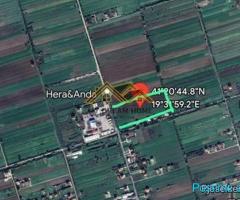 SHITET TOKE NE AUTOSTRAD DURRES – TIRANE