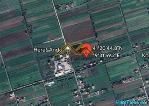 SHITET TOKE NE AUTOSTRAD DURRES – TIRANE - 2/2