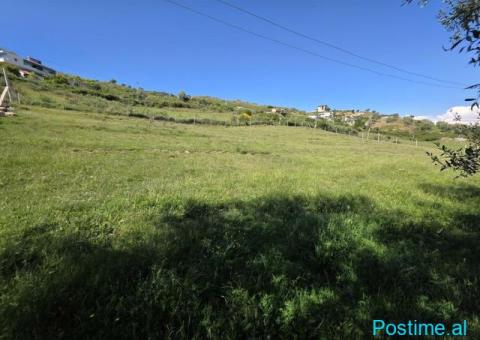 Tokë Për Shitje në Spitallë, Durrës - 85,000€ | 2500 m² - 4/5