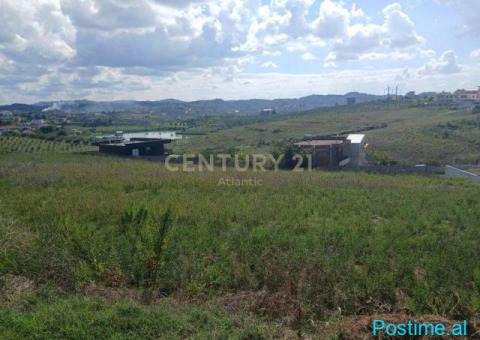 SHITET TOKE ME PAME LIQENI NE ARAPAJ 4319M2 - 2/6