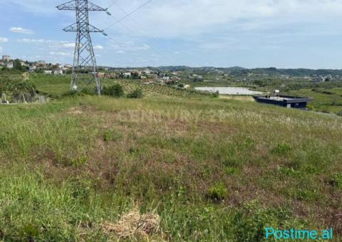 SHITET TOKE ME PAME LIQENI NE ARAPAJ 4319M2 - 4/6
