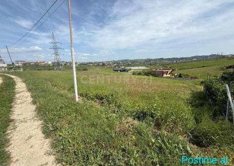 SHITET TOKE ME PAME LIQENI NE ARAPAJ 4319M2 - 5/6