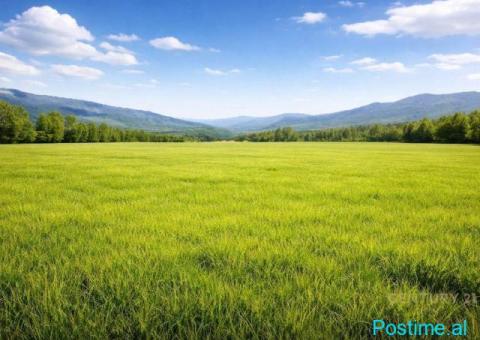 TOKE PRANE URES SE GJOLES - 1.500.000€ | 50000 m²